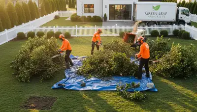 Professional shrub removal service improving curb appeal in Shawnee, OK