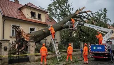 Emergency tree removal after storm damage in Prague, OK by Shawnee tree service crew restoring safety