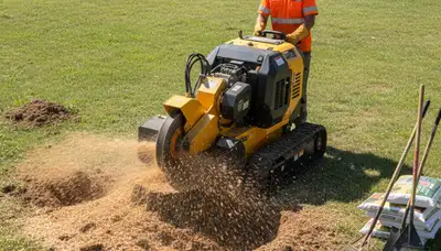 Professional stump grinding removing tree stumps in McLoud, OK by Shawnee tree removal experts