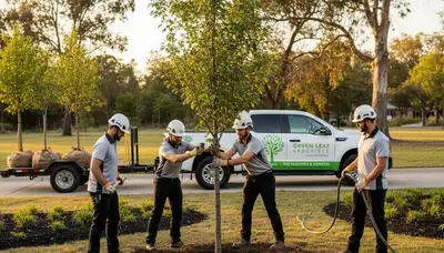 Arborist planting young tree in Shawnee, OK yard for Chop Chop Tree professional tree planting service