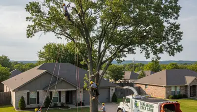 Professional tree removal service in Shawnee OK safely cutting and clearing residential trees